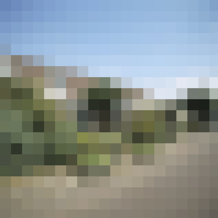 Image 25