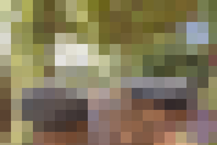 Image 33
