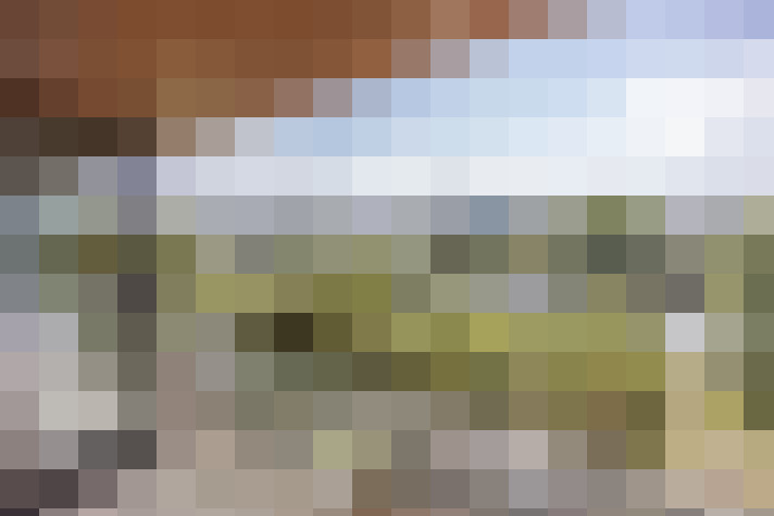 Image 49