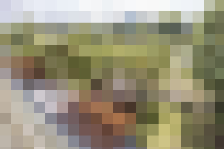 Image 54