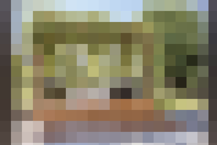 Image 29