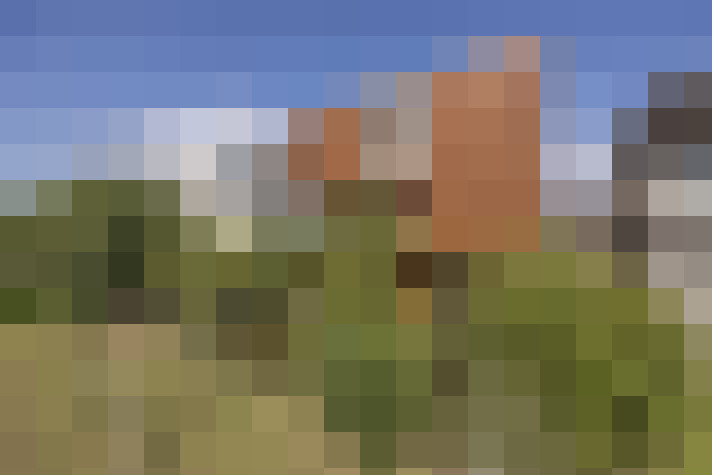 Image 40