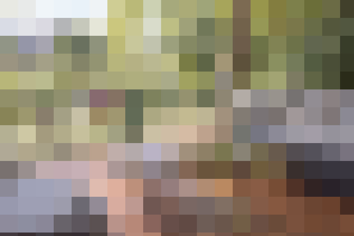 Image 36