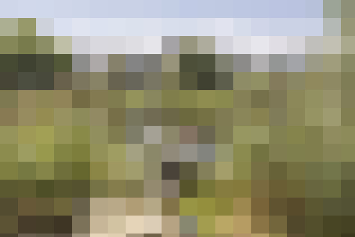 Image 37