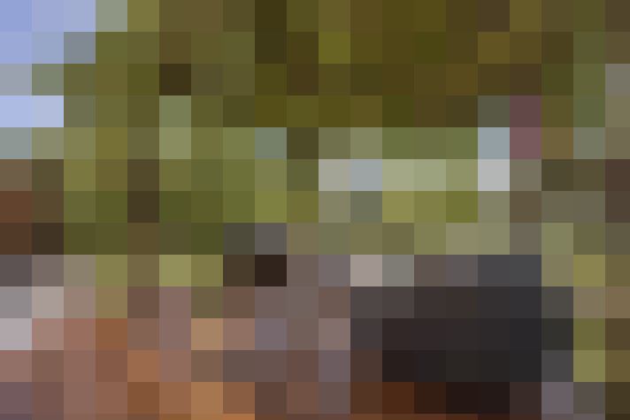 Image 32