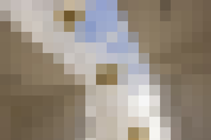 Image 73