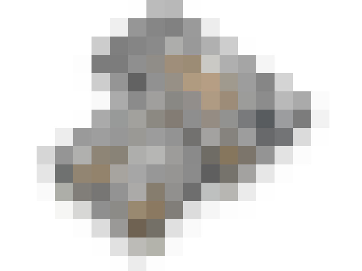 Image 110