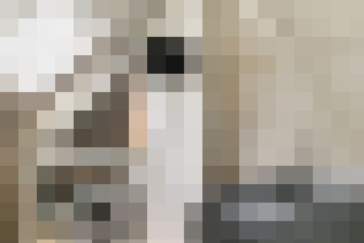 Image 13