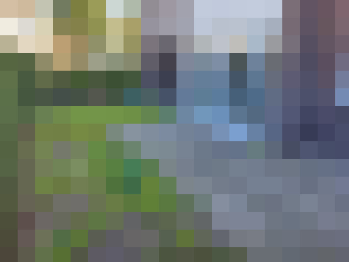 Image 16