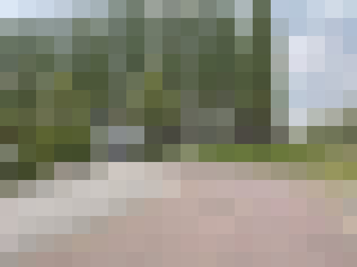 Image 30
