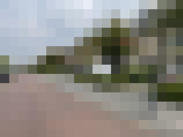 Image 31