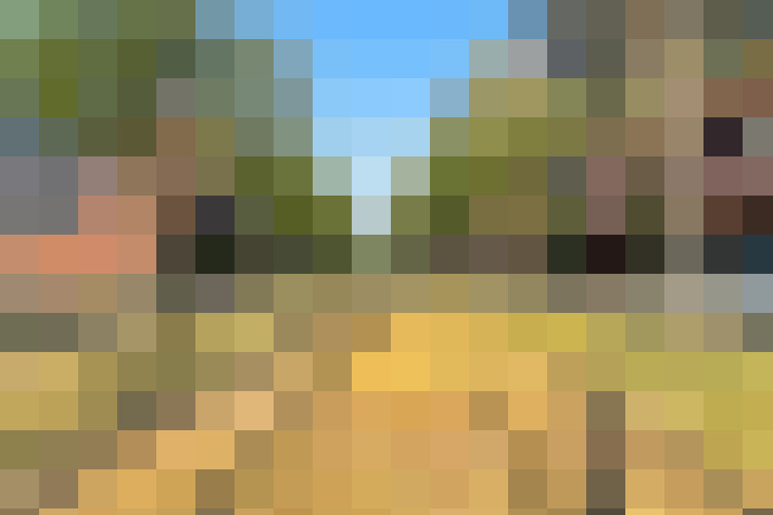 Image 25