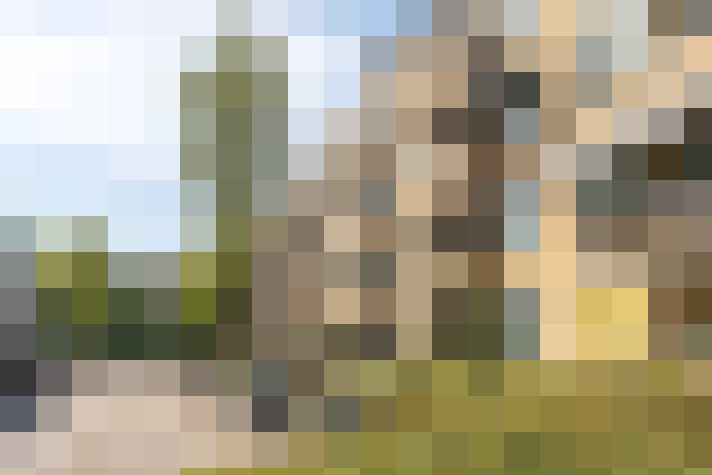Image 17