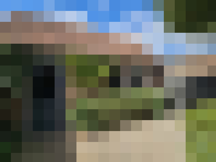 Image 14