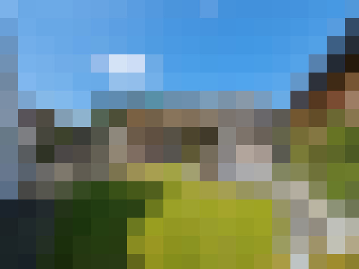 Image 24