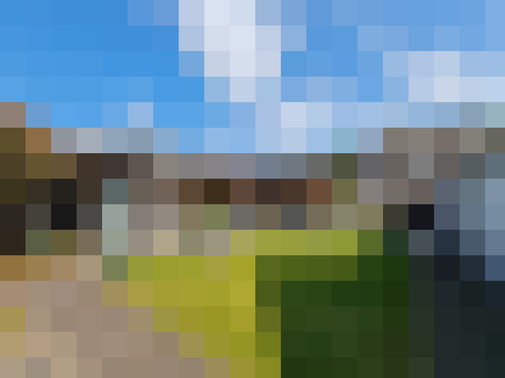 Image 23