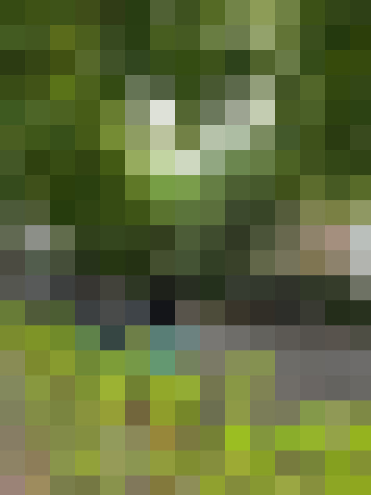 Image 41