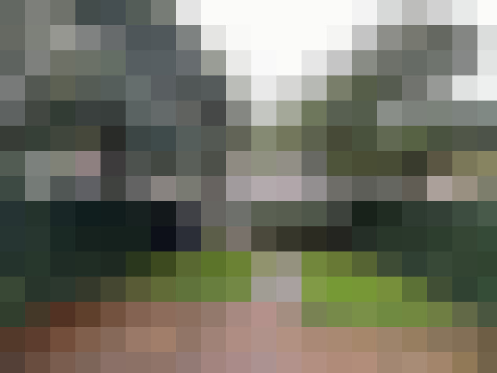 Image 33