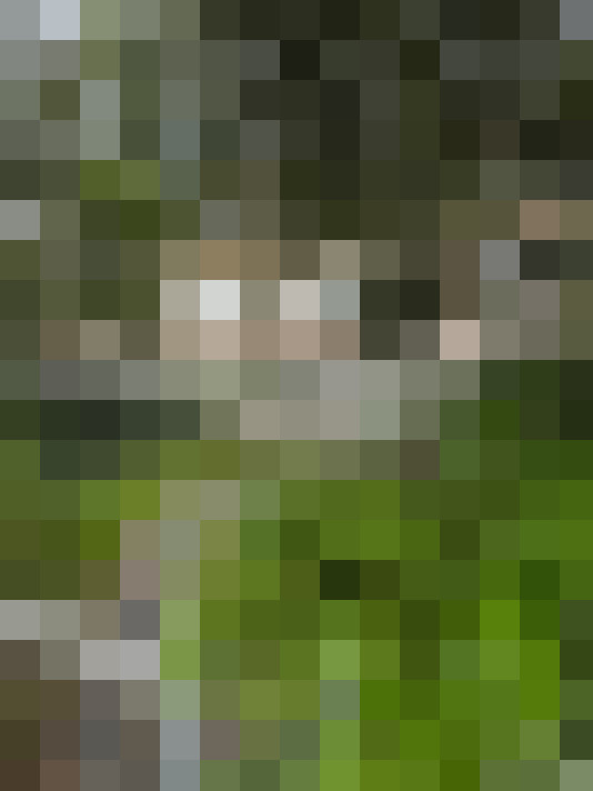 Image 36