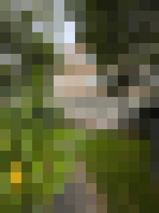 Image 37