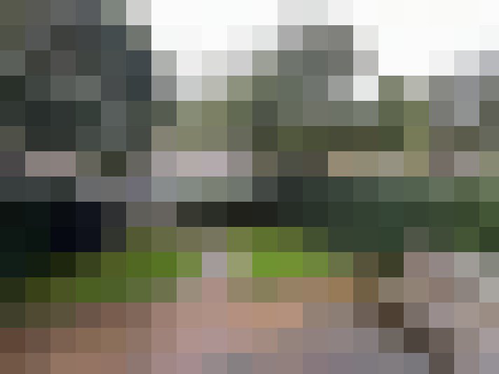 Image 34