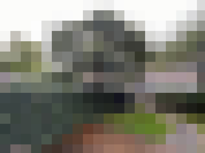 Image 35