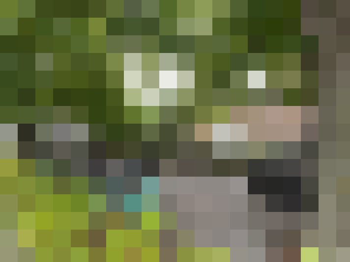 Image 42