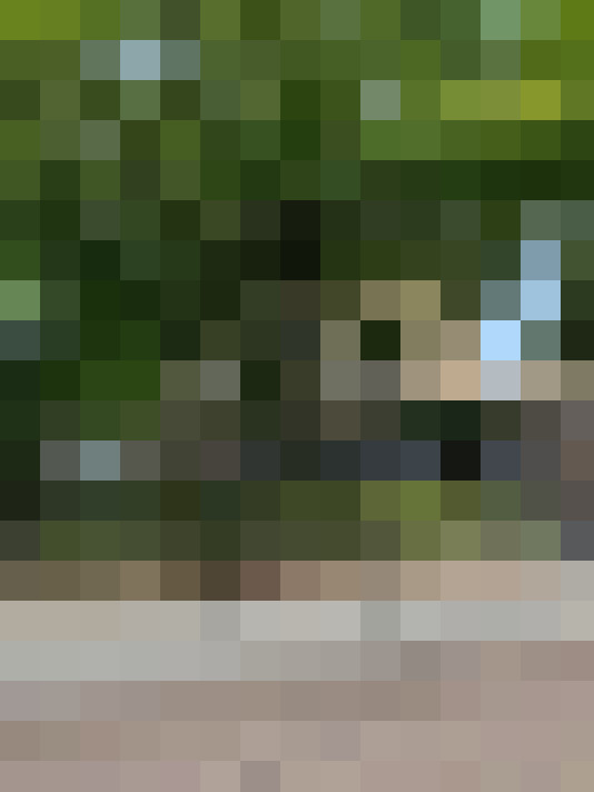 Image 43