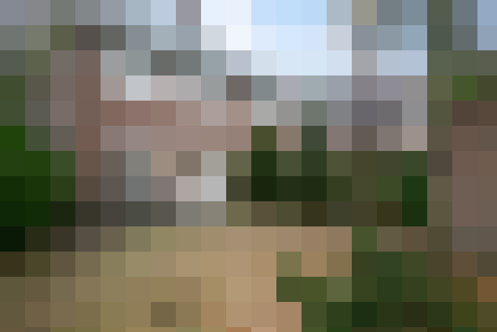 Image 22