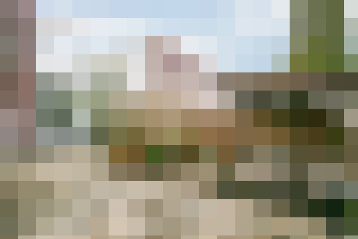 Image 24