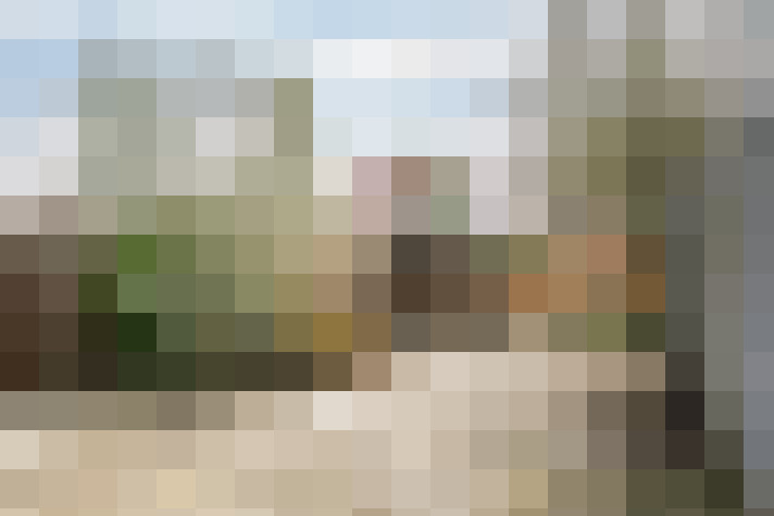 Image 23