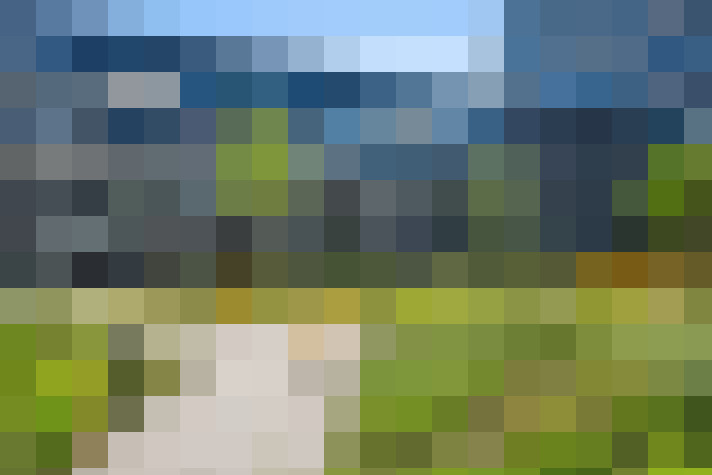 Image 23