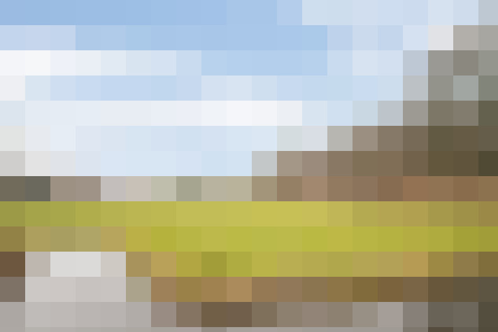 Image 23