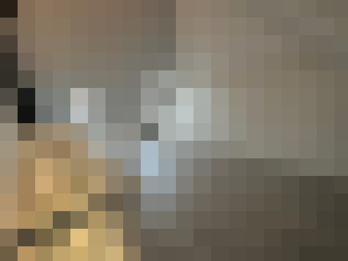 Image 14