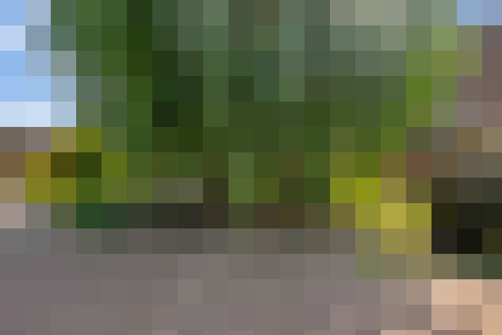 Image 31