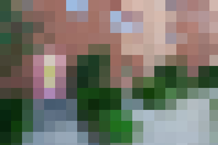 Image 20