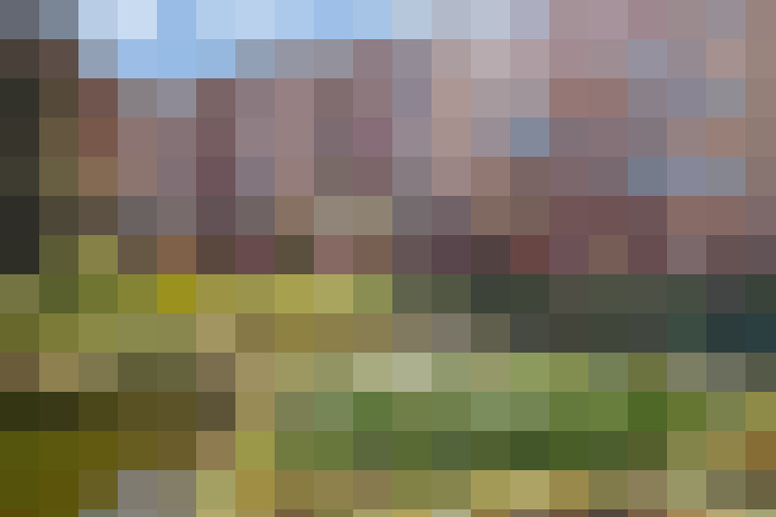 Image 30