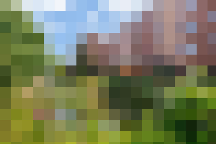Image 29