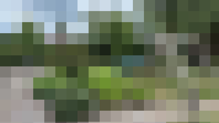 Image 24