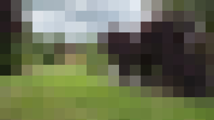 Image 25