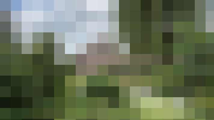Image 27