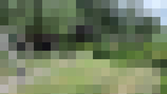 Image 23