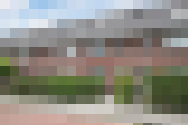 Image 31
