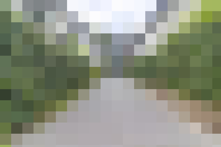 Image 17