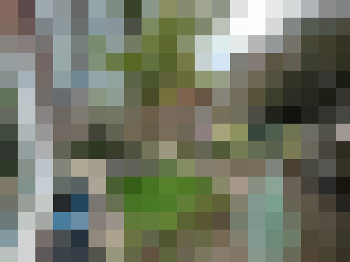 Image 17