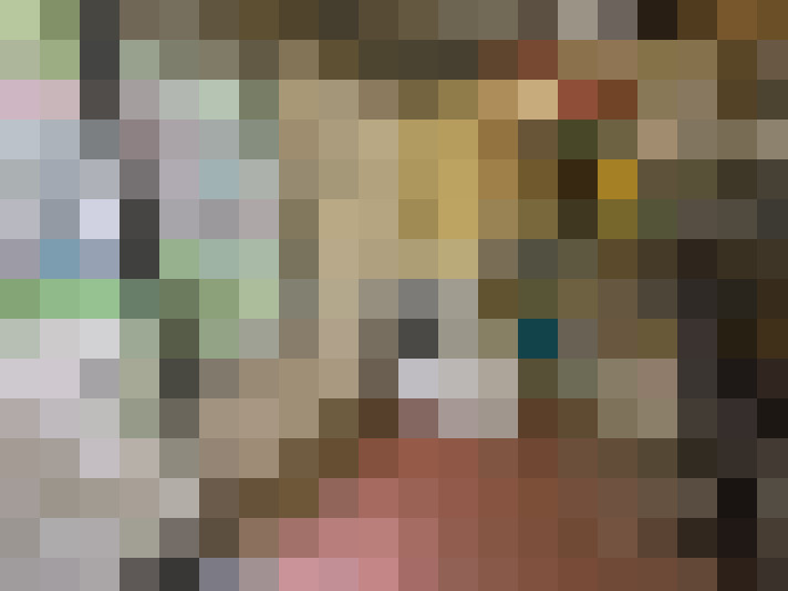 Image 22