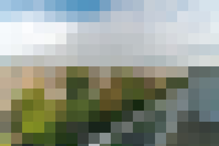 Image 54