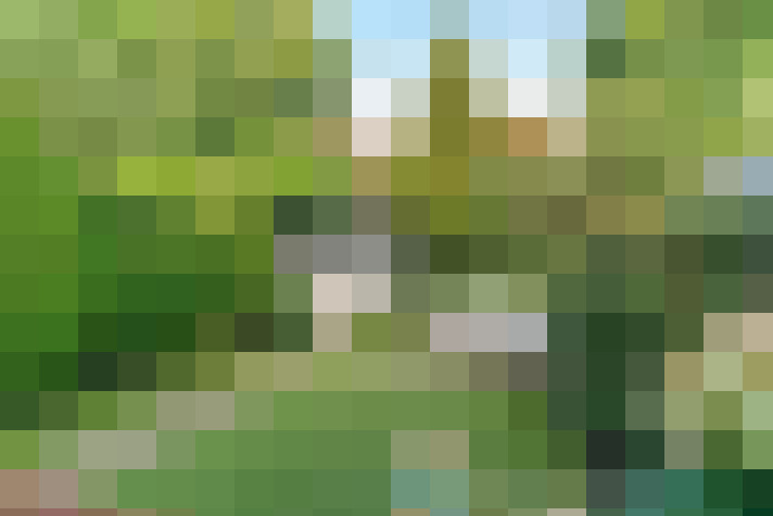 Image 26
