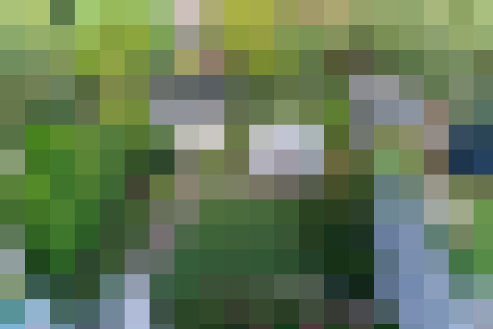 Image 56
