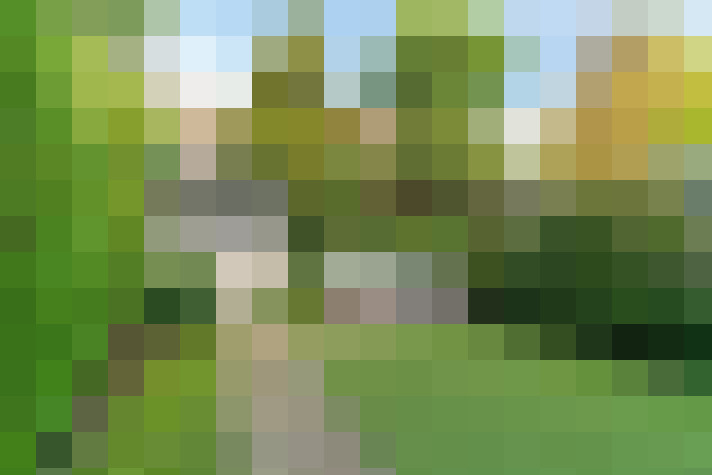 Image 25